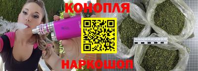jwh Будённовск