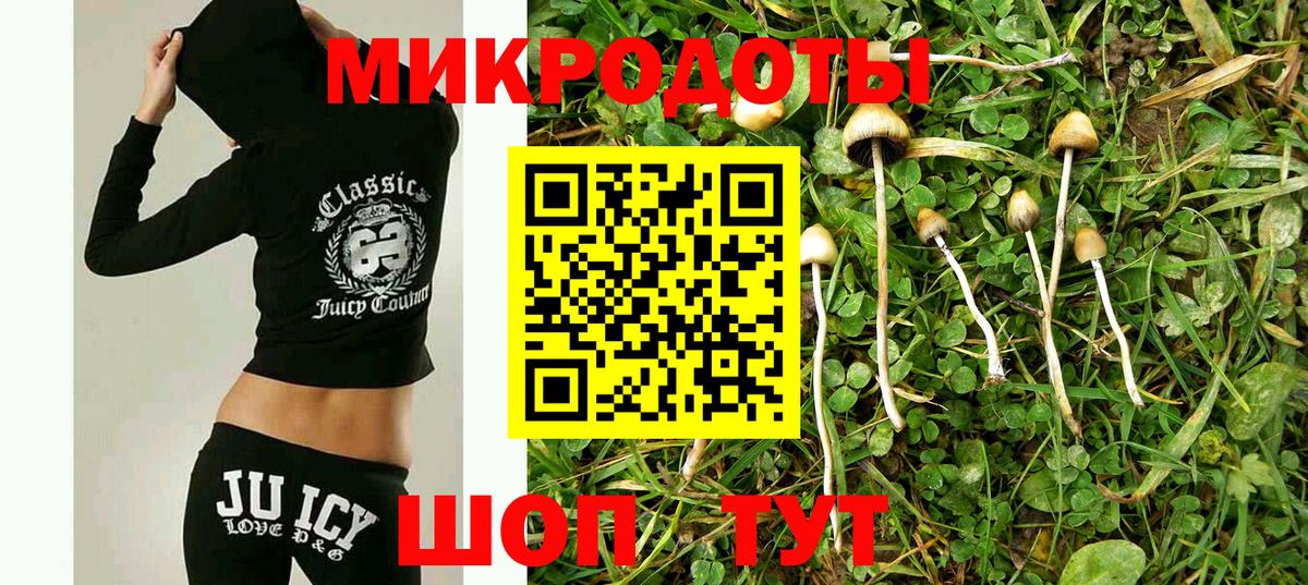 Галлюциногенные грибы GOLDEN TEACHER  Галлюциногенные грибы MAGIC MUSHROOMS  Котовск  Вход с VPN 